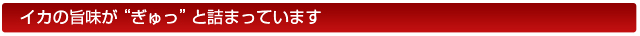 イカの旨味が“ぎゅっ”と詰まっています